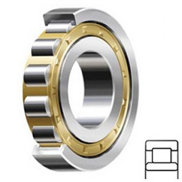 Cylindrical Roller Bearings 275RIU808R3