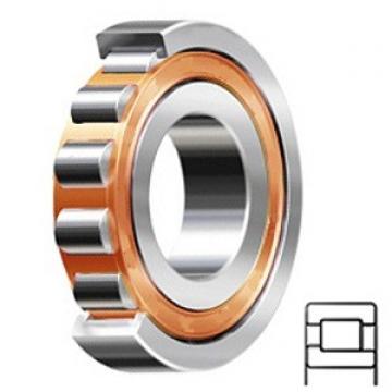 Cylindrical Roller Bearings NJ 214 ECP/C3