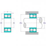 Double Row Angular Contact Ball Bearing 5200C3