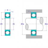 Ball Bearings > Deep Groove Ball Bearings 6219-2NKC3