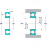 Ball Bearings > Deep Groove Ball Bearings 6036C3