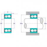 Double Row Angular Contact Ball Bearing 5200AZZC3