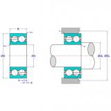 Double Row Angular Contact Ball Bearing 5209NC3